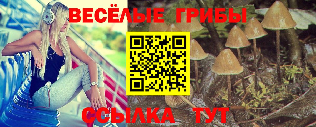 Амурск  Галлюциногенные грибы мухоморы  Вход с VPN 
